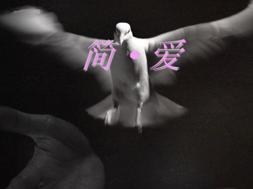 人教部编版九下语文第六单元名著导读简爱