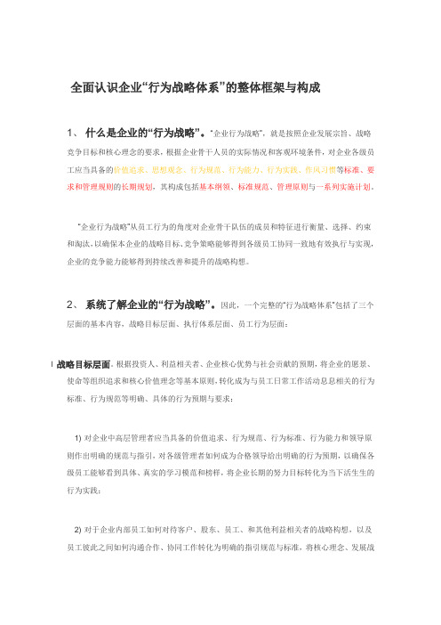行为战略概念框架