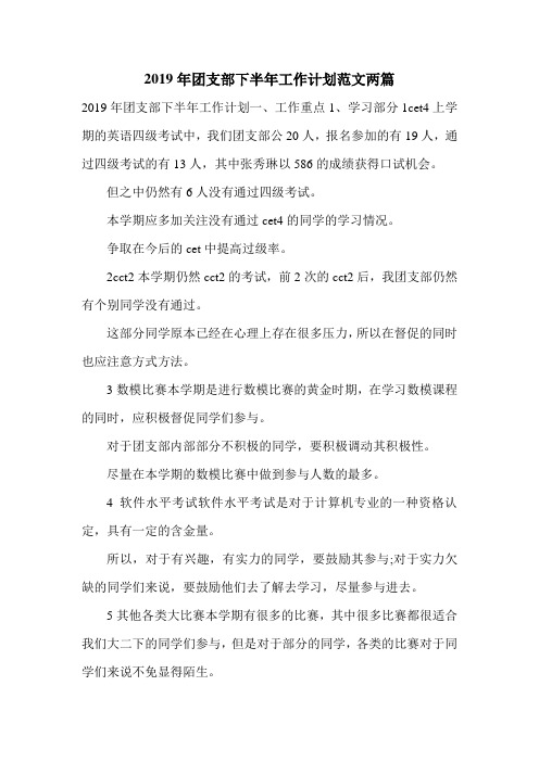 2019年团支部下半年工作计划范文两篇