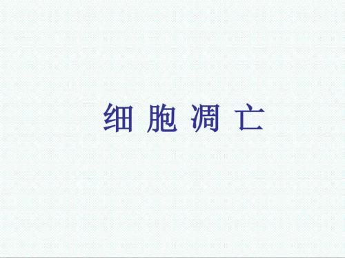 高中生物课件-中图版高中生物必修1第二节《细胞的凋亡》课件 最新