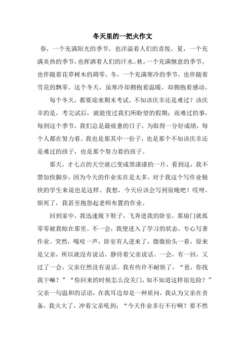 冬天里的一把火作文
