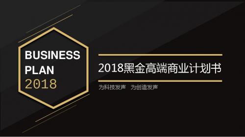 2018黑金高端商业计划书ppt模板