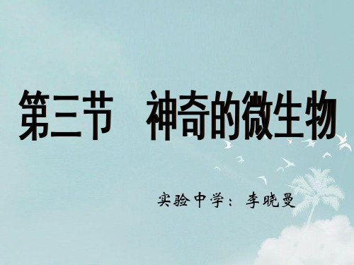 初中生物苏教版八年级上册第三节 神奇的微生物