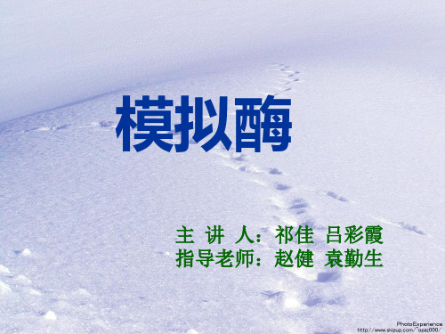 模拟酶