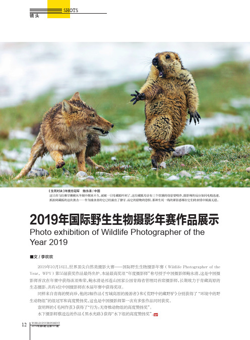 2019年国际野生生物摄影年赛作品展示