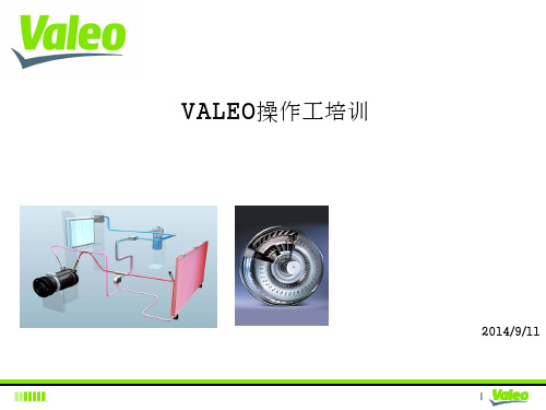 VALEO质量知识培训