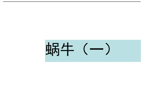 三年级上册科学课件-2.2蜗牛(一)教科版(共14张PPT)