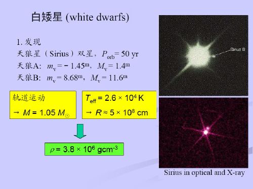 白矮星、中子星和黑洞