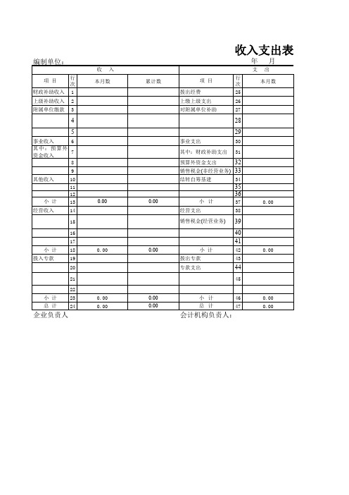 收入支出表(事业单位)