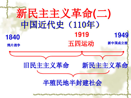 新民主主义革命_人民版-一轮复习