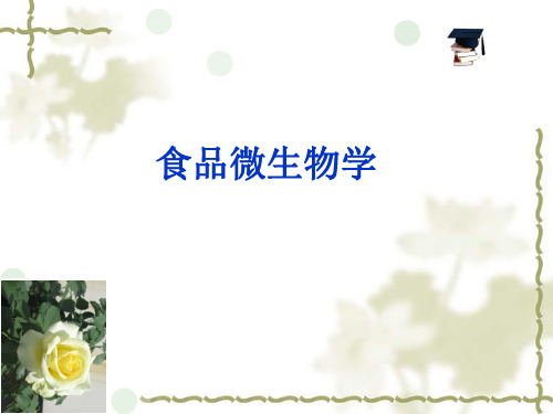 大学课件之食品微生物学第4章微生物的营养与生长