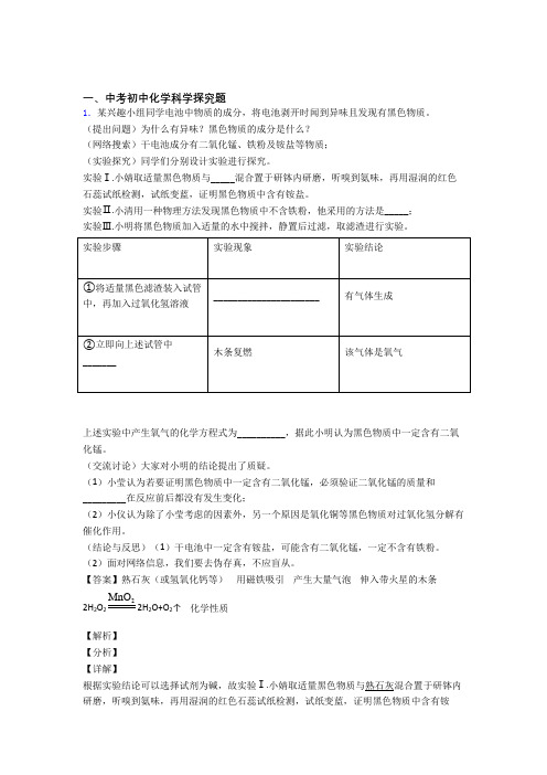 备战中考化学二轮 探究题 专项培优易错试卷附详细答案