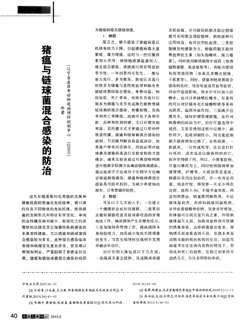 猪瘟与链球菌混合感染的防治
