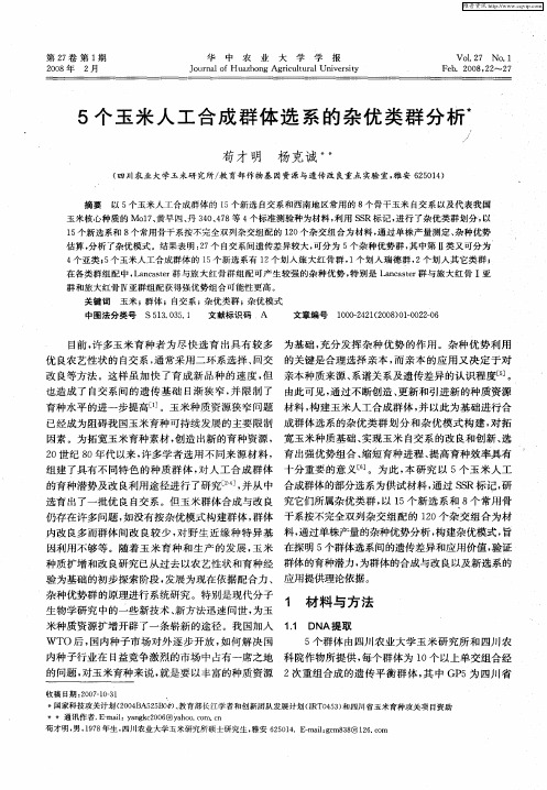 5个玉米人工合成群体选系的杂优类群分析