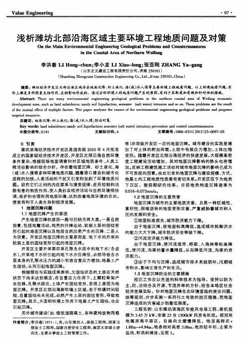 浅析潍坊北部沿海区域主要环境工程地质问题及对策