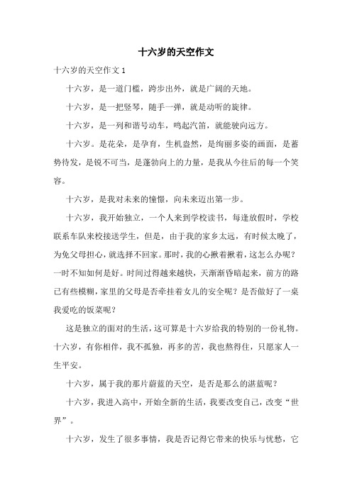 十六岁的天空作文