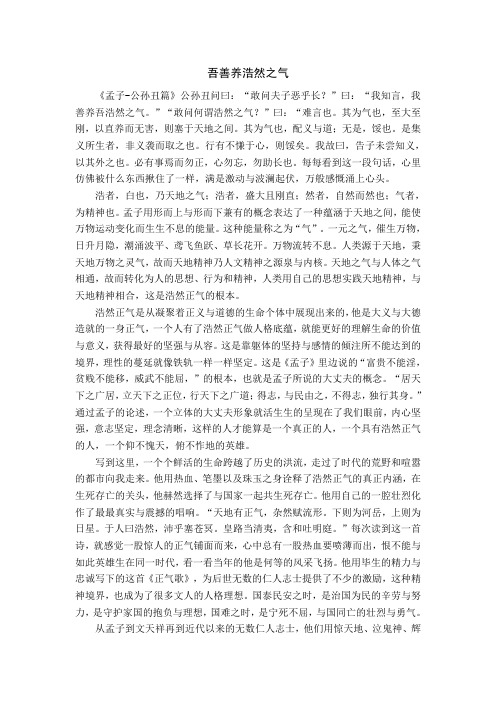 吾善养浩然之气