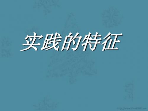 高二政治实践的特征课件 人教版