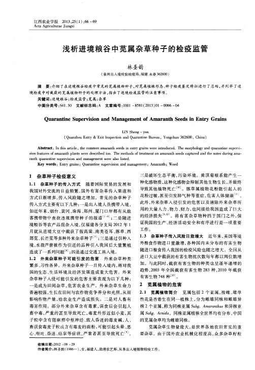 浅析进境粮谷中苋属杂草种子的检疫监管