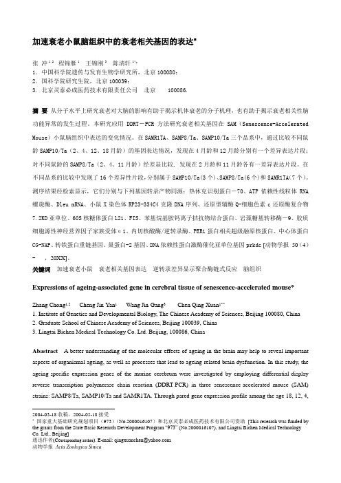 组织设计-加速衰老小鼠脑组织中的衰老相关基因的表达 精品