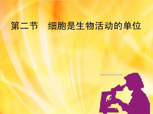 北师大版生物七年级上册3章2节细胞是生命活动的单位课件