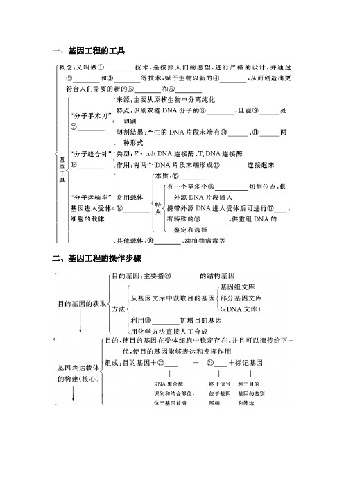 第1节基因工程的基本原理和技术