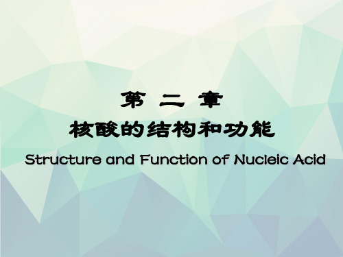 生物化学课件第二章核酸的结构与功能(12级仁济护本)