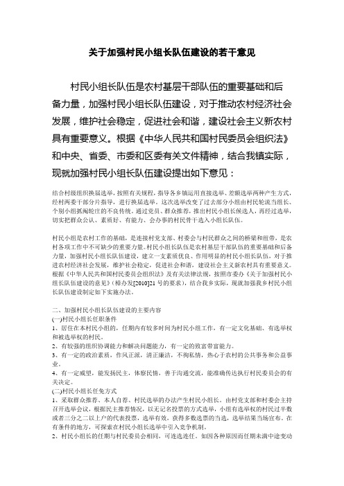 关于加强村民小组长队伍建设的若干意见