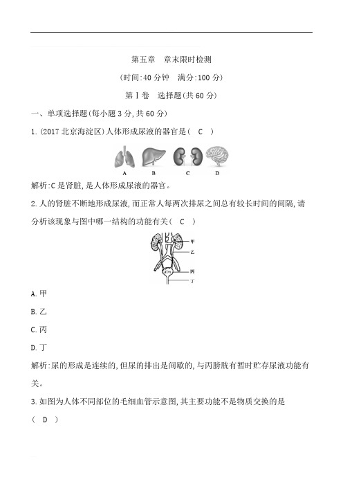 2018—2019学年下七年级生物第五章人体内废物的排出单元测试及答案