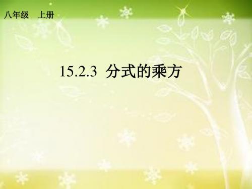 15.2.1 分式的乘方(3)