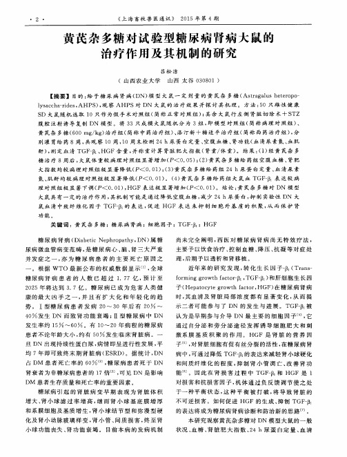 黄芪杂多糖对试验型糖尿病肾病大鼠的治疗作用及其机制的研究