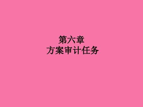 《计划审计工作》ppt课件