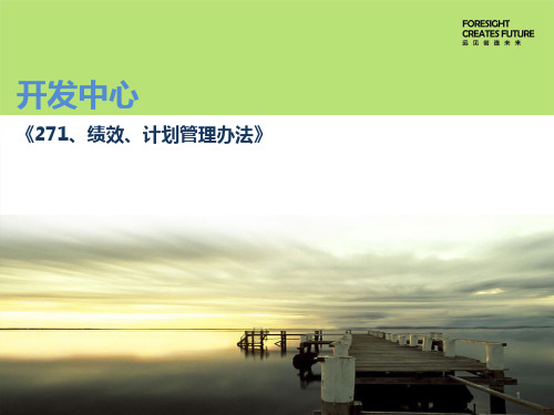 XX集团开发中心271绩效评价、计划管理制度实施细则