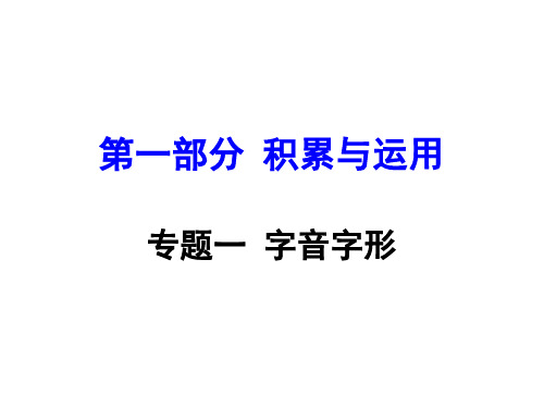 湖南益阳中考语文 第一部分 积累与运用 专题一 字音字