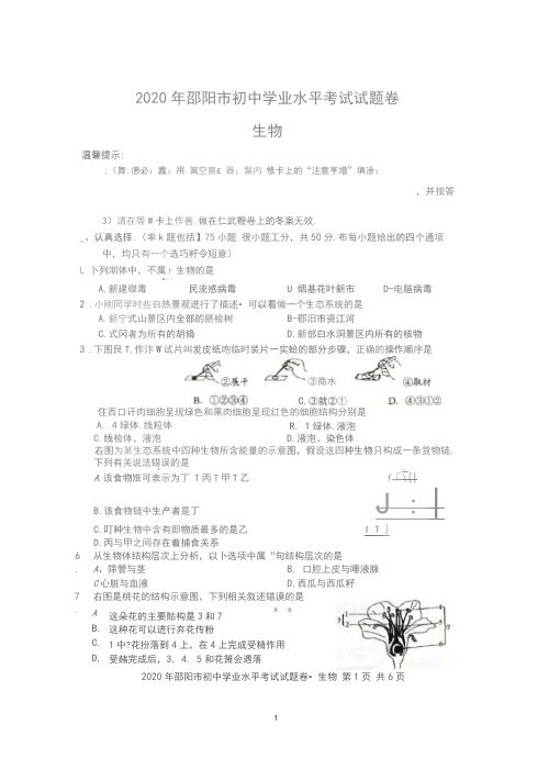湖南省邵阳市2020年中考生物试题(图片版,无答案)