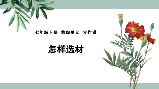 人教部编版七年级语文下册第四单元写作课《怎样选材》课件(20张ppt)