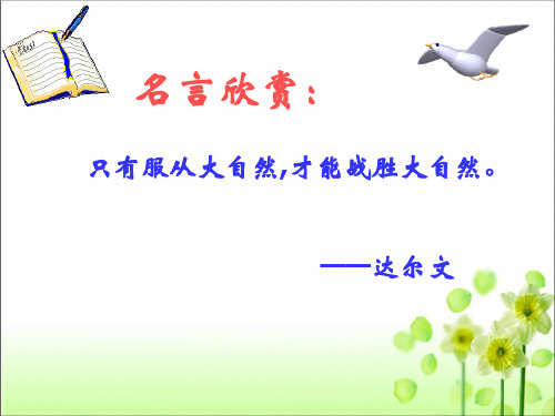 人教版八年级生物 下册 第七单元 2.3 基因的显性和隐性 课件(共47张PPT)