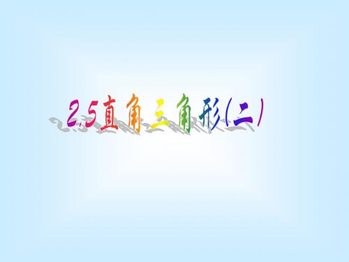 直角三角形1