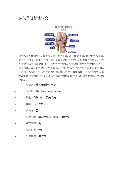 膝关节退行性病变1