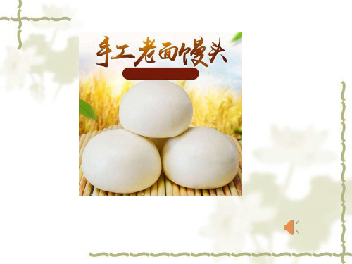 5.4.5人类对细菌和真菌的利用-食品制作课件