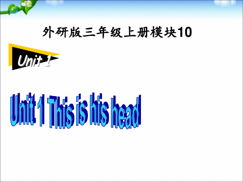 三年级上册英语课件-10.1This is his head ｜外研社(三起) (共27张PPT)