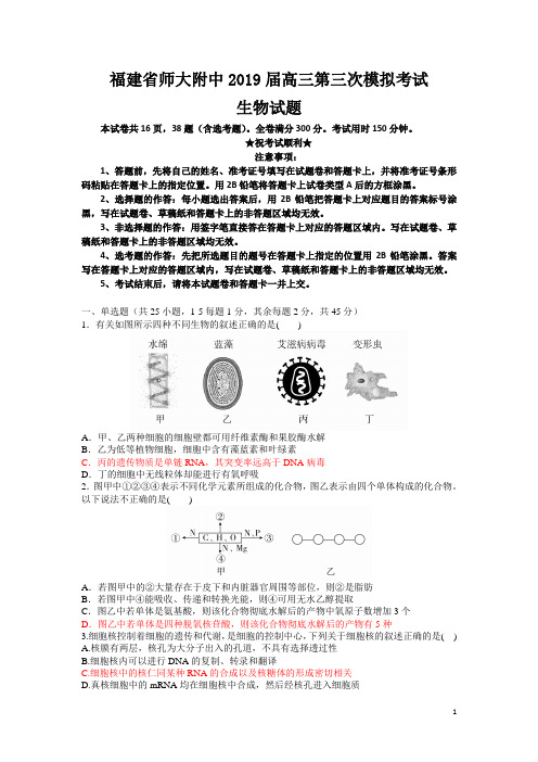 福建省师大附中2019届高三第三次模拟考试生物试题