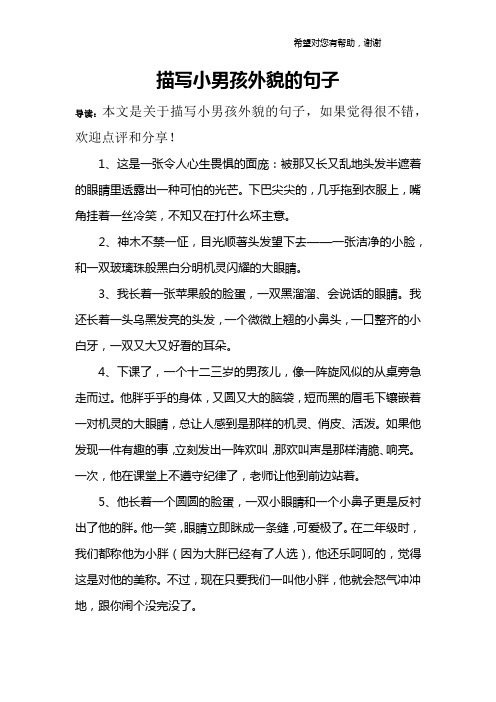 描写小男孩外貌的句子
