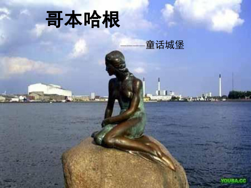 丹麦加梅尔广场案例分析