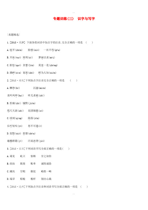 最新中考语文总复习二积累与运用专题训练03识字与写字(附答案)