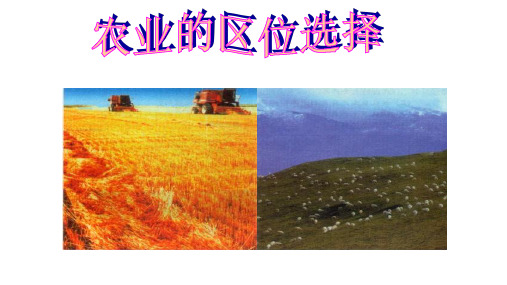 人教版高中地理必修二第三章第一节农业的区位选择 课件(共26张PPT)