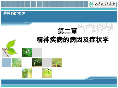 精神疾病的病因及症状学 ppt课件