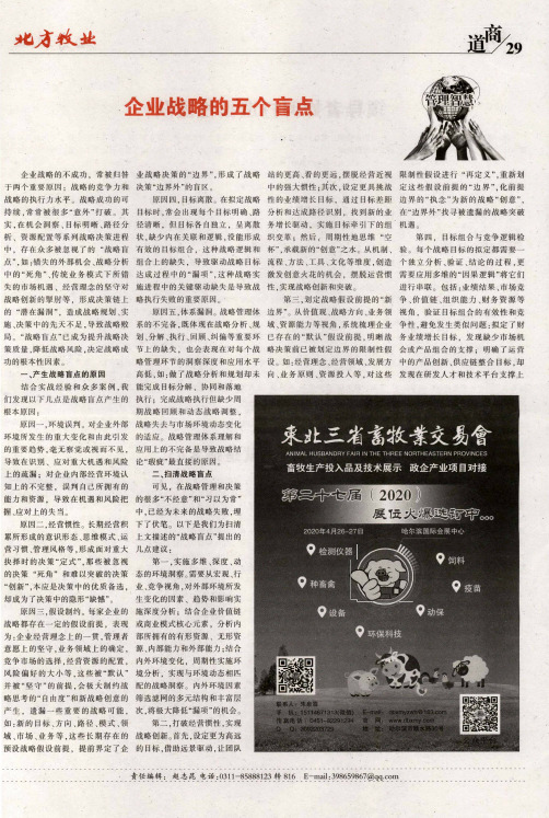 企业战略的五个盲点