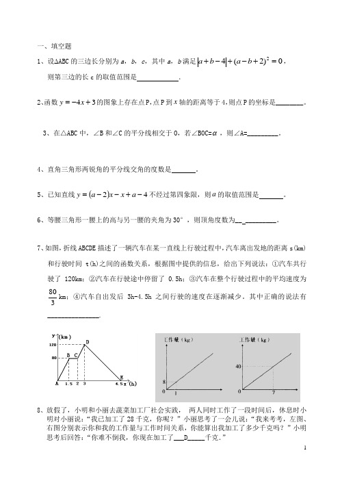 八年级上数学培优及答案(可以直接打印)