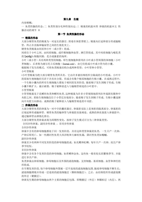 第九章  内分泌与生殖